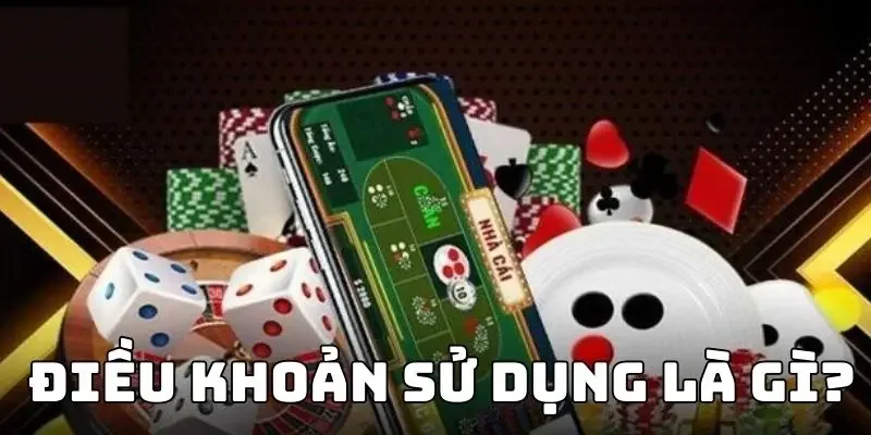 Điều khoản sử dụng là gì?