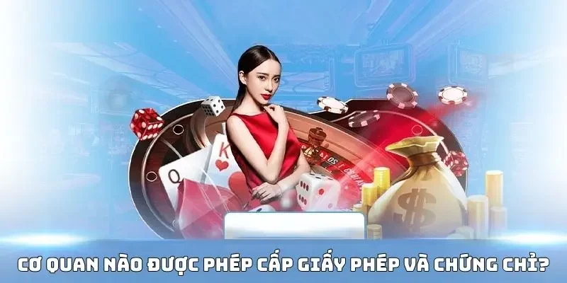Cơ quan nào được phép cấp giấy phép và chứng chỉ?