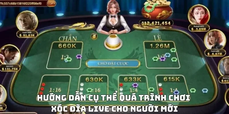 Hướng dẫn cụ thể quá trình chơi xóc đĩa live cho người mới