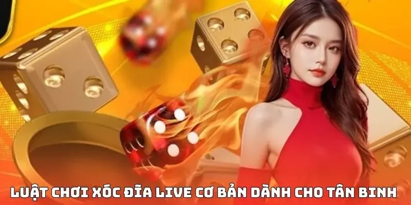 Luật chơi xóc đĩa live cơ bản dành cho tân binh